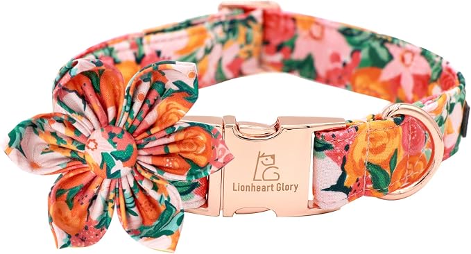 Lionheart Glory Dog Collar by LionheartGlory