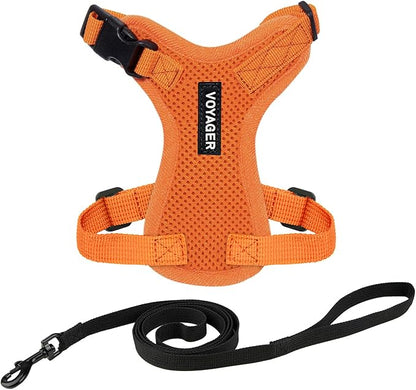 Voyager Escape-Proof Step-in Lock Cat Harness & 5ft Neoprene-Handle Leash Set by BestPetSuppliesLLC