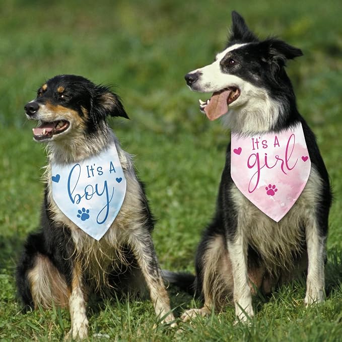 2 Packs It's a Boy and It's a Girl Gender Reveal Dog Bandana Baby Announcement - Image 6