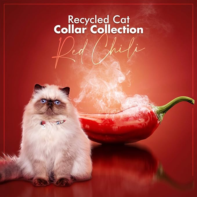 Pawtitas Recycled Red Reflective Cat Collar – Eco-Friendly Breakaway Safety - Image 9