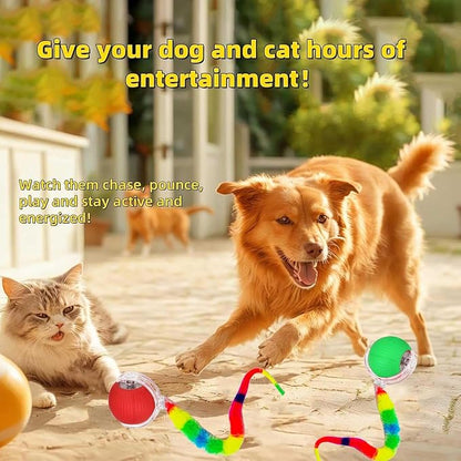 2 PCS Interactive Cat Toy Rolling Ball Chewie Viral Dog Ball - Image 8