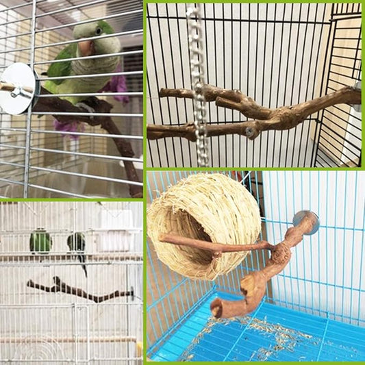 PINVNBY Bird Perches for Cage - Image 2