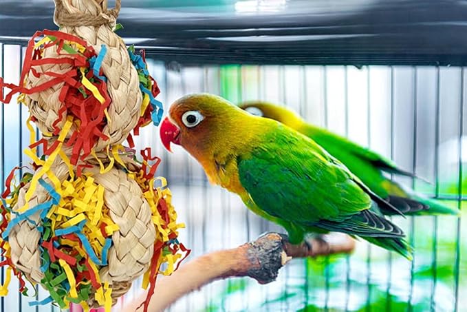 2PCS Bird Foraging Toys, Parrot Shredding Chewing Shredder Hanging Toys - Image 3