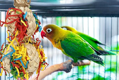 2PCS Bird Foraging Toys, Parrot Shredding Chewing Shredder Hanging Toys - Image 3