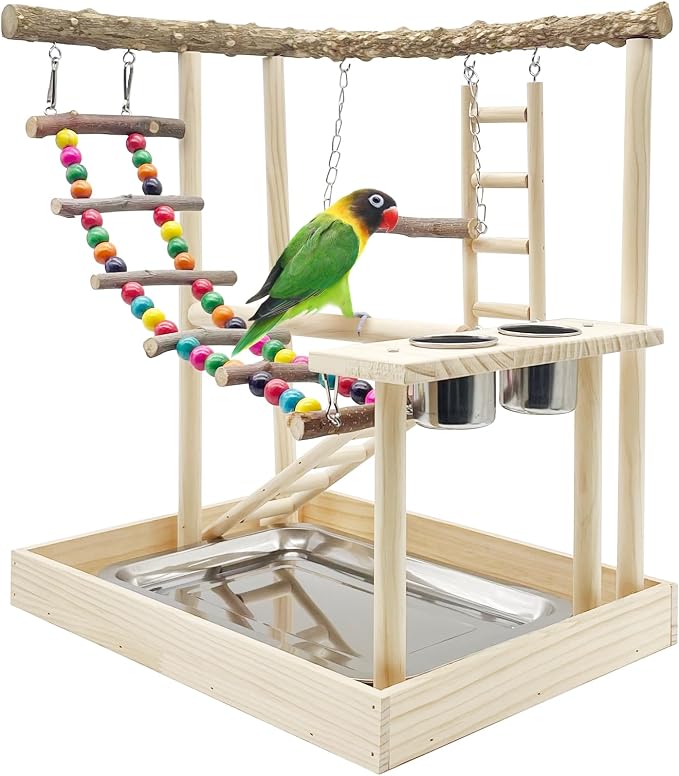 Hamiledyi Bird Playground Parrots Wood Perch Stand Cockatiel Playground Bird by Hamiledyi
