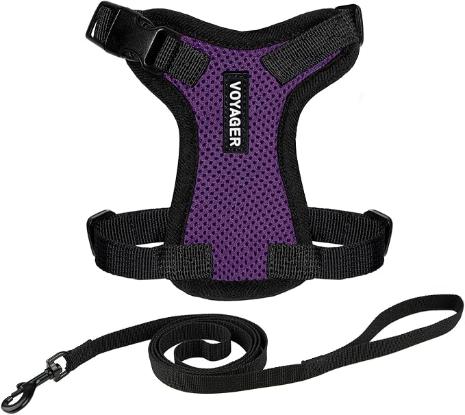 Voyager Escape-Proof Step-in Lock Cat Harness & 5ft Neoprene-Handle Leash Set by BestPetSuppliesLLC