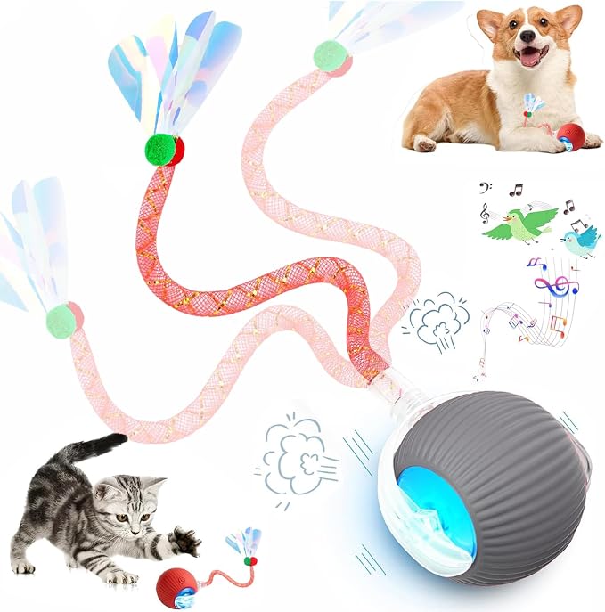 Speed 2.0 Tail Interactive Cat Toys by Unknown