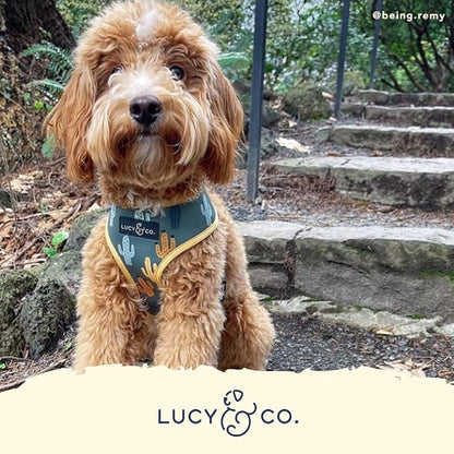 Lucy & Co. Looking Sharp, Cute Reversible Dog Harness Walking Halter - Image 5