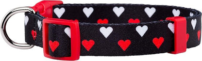 Native Pup Valentine’s Dog Collar- Valentines Day Pet Collars- Valentine Girly - Image 2