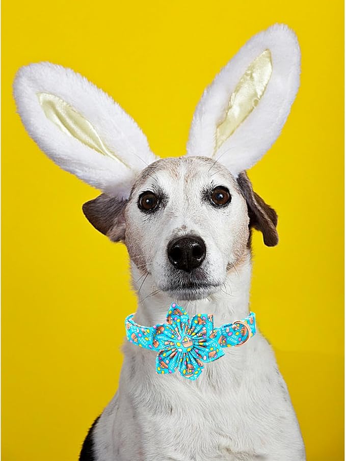 Lionheart glory Easter Day Dog Collar - Image 4