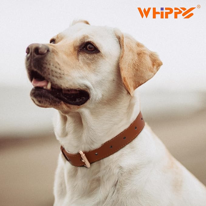 WHIPPY Leather Dog Collar for Small Medium Large Dog Adjustable Soft Breathable - Image 2