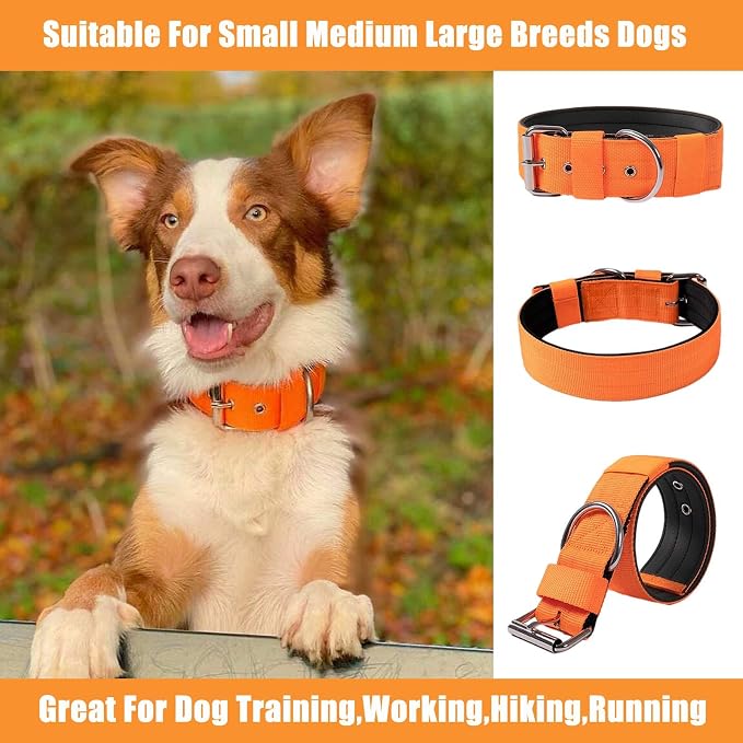 Heavy Duty Tactical Dog Collar - Image 8