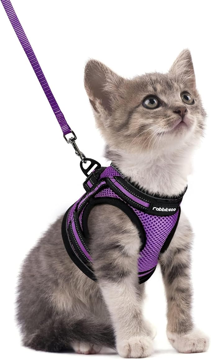 rabbitgoo Cat Harness and Leash Set by rabbitgoo