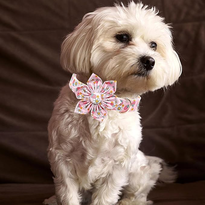 Lionheart glory Dog Collar Flower Collar Pink Dog Collar - Image 6