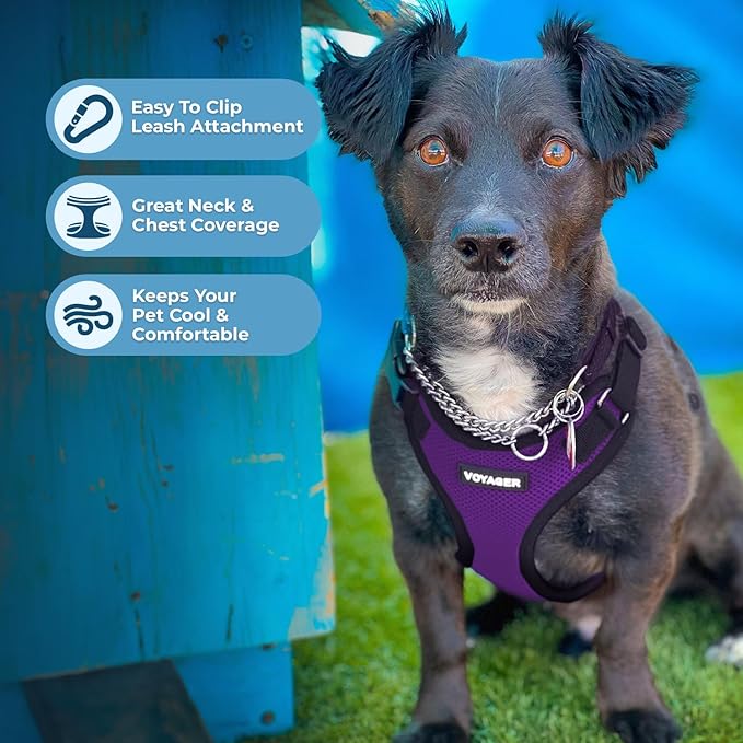 Voyager Step-in Pet Harness - Image 3