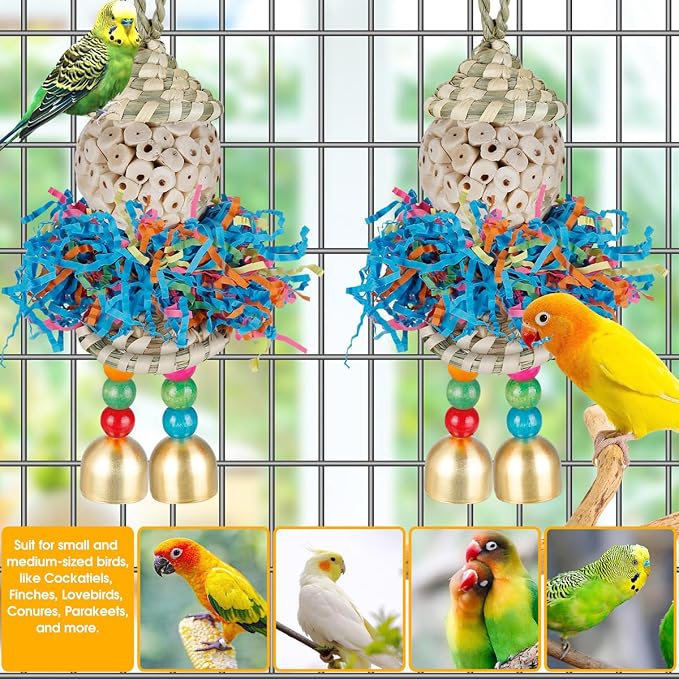 Conure Toys - Image 2