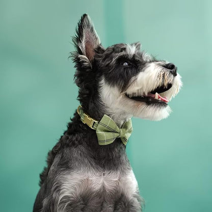 Beirui Cute Extra Small Dog Harness Collar and Leash Set - Image 5