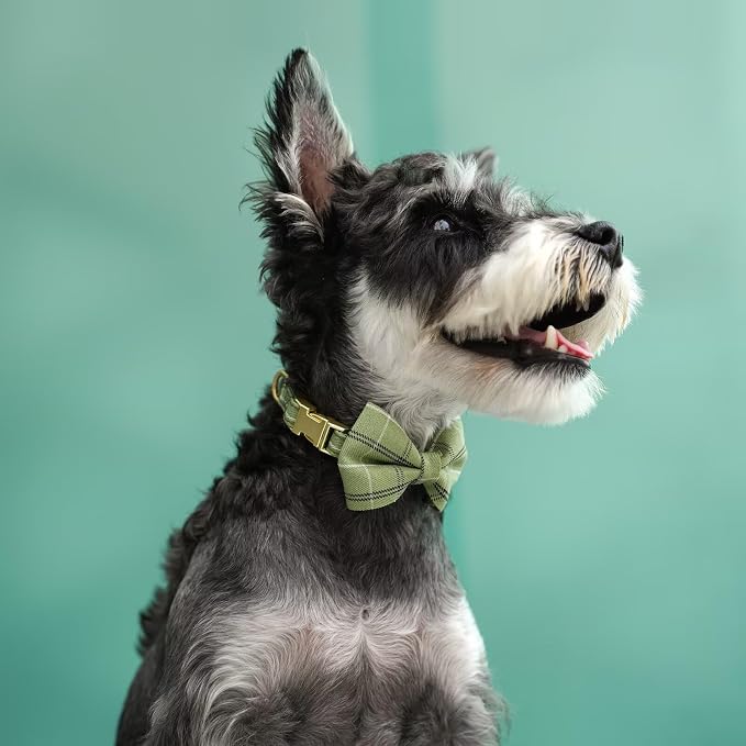 Beirui Cute Small Dog Harness Collar and Leash Set - Image 5