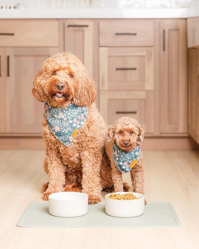 Remy+Roo Sage Silicone Dog Food Mat - Image 2