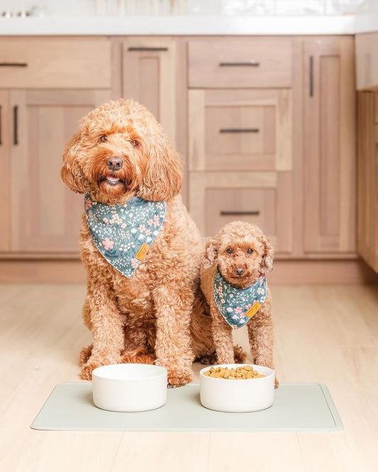 Remy+Roo Sage Silicone Dog Food Mat - Image 2