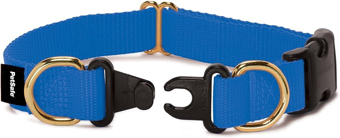 PetSafe KeepSafe Collar for Dogs by PetSafe