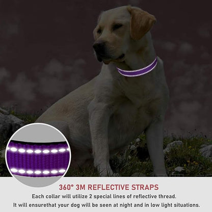 Reflective Dog Collar with Buckle Adjustable Safety Nylon Collars - Image 4