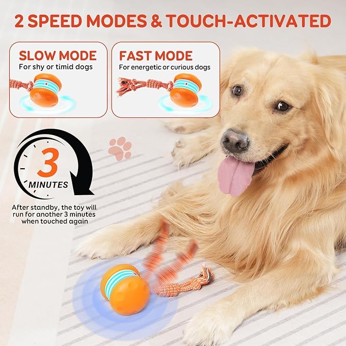 Interactive Dog Toys, Random Path Electric Automatic Moving and Rolling Dogs Toy - Image 4