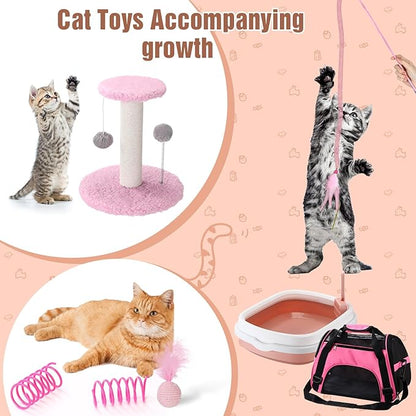 Eccliy Kitten Starter Kit, Pet Toy, Folding Carrier, Climbing Frame, Automatic - Image 7