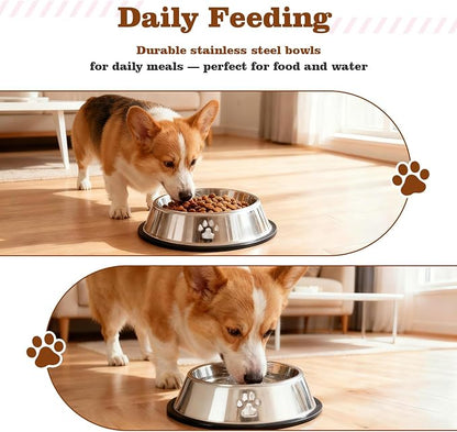 Puppy Supplies Starter Kit – Puppy Essentials and Dog Stuff Set - Image 4