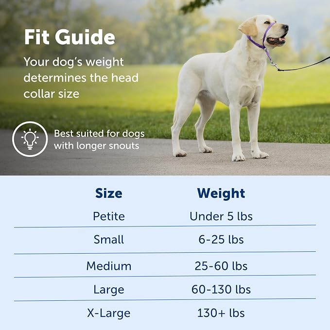 PetSafe Gentle Leader Headcollar No-Pull Dog Collar - Image 5