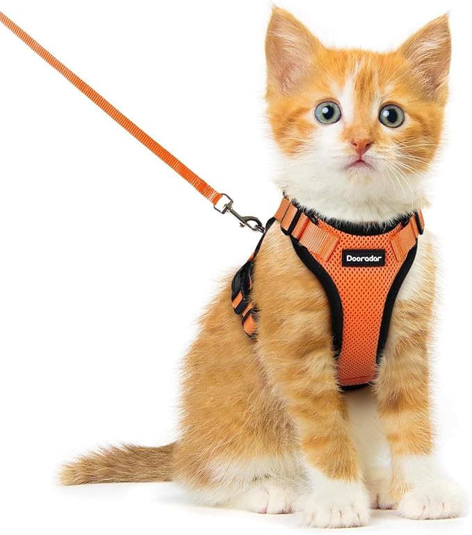 Dooradar Cat Harness and Leash Set, Escape Proof Safe Adjustable Kitten Vest by Dooradar
