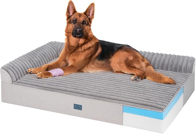 Veehoo Orthopedic Dog Bed for Large Senior Dogs, 7 Inch Thick XXL Memory Foam by Veehoo