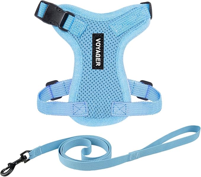 Voyager Escape-Proof Step-in Lock Cat Harness & 5ft Neoprene-Handle Leash Set by BestPetSuppliesLLC