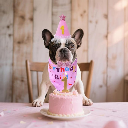 hoyuwak Dog Birthday Party Supplies Girl Boy Dog Birthday Bandana Bow Hat - Image 5