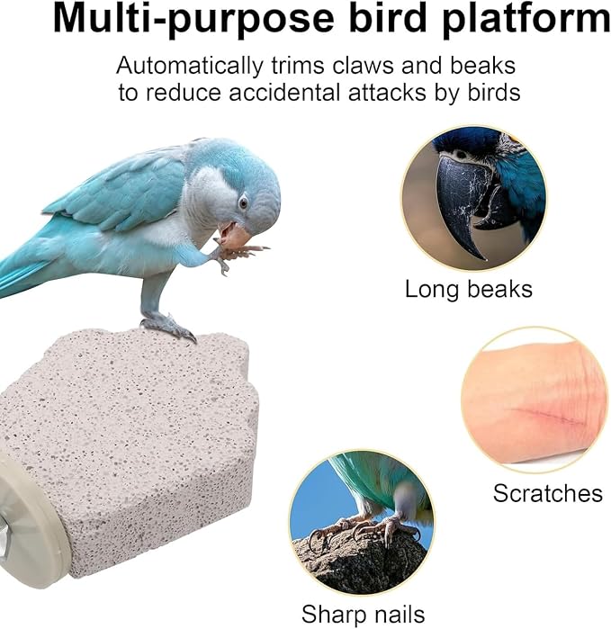 4Pcs Bird Beak Grinding Stone, Bird Perches Calcium Parrot Perch Stand Parrot - Image 5