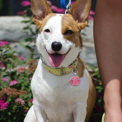 MYLUCKYTAG QR Code Pet ID | Personalized Dog & Cat Collar Tag | Online Profile - Image 4