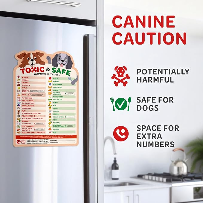 EBPP Magnetic List of Foods Dogs Can Eat - Image 4