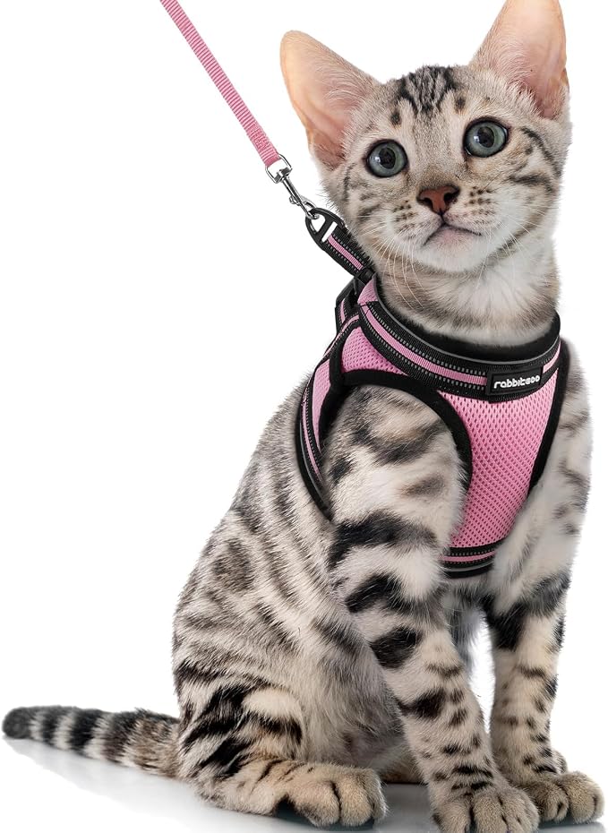rabbitgoo Cat Harness and Leash Set by rabbitgoo