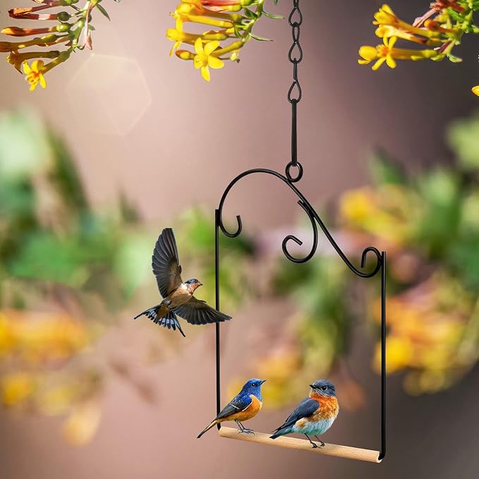 3 Pcs Hummingbird Swings and Perches Wild Bird Swing Metal Frame - Image 6