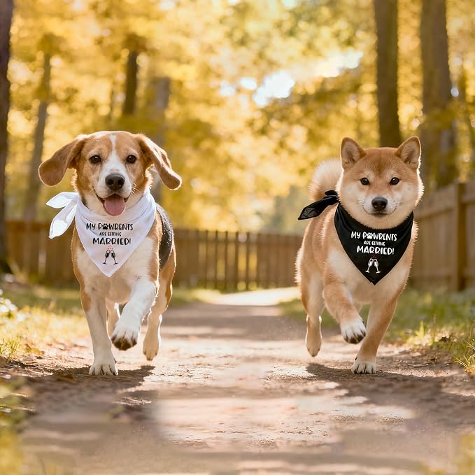 Getting Married Pet Dog Bandana, Engagement Announcement Dog Wedding Bandana - Image 6