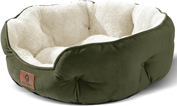 Asvin Medium Dog Bed for Medium Dogs, Cat Beds for Indoor Cats, Pet Bed for by Asvin