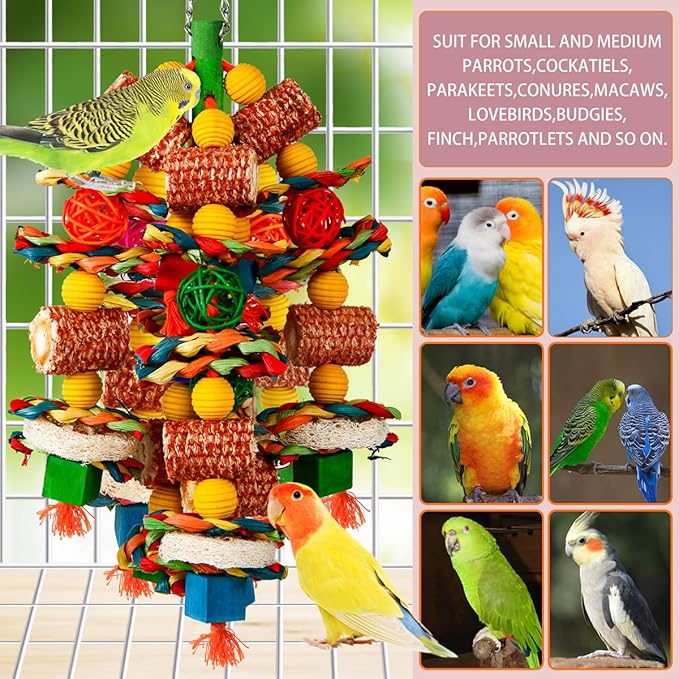 Bird Toys, Parrot Toys for Large Birds, Natural Corn cob and Loofah Slices Bird - Image 4