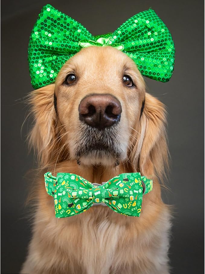 Lionheart glory Dog Bow Collar St. Patrick's Day Dog Collar - Image 5