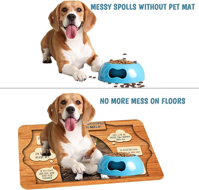 Personalized Dog Cat Mat with Name Photo Custom Placemat Feeding Mats - Image 5