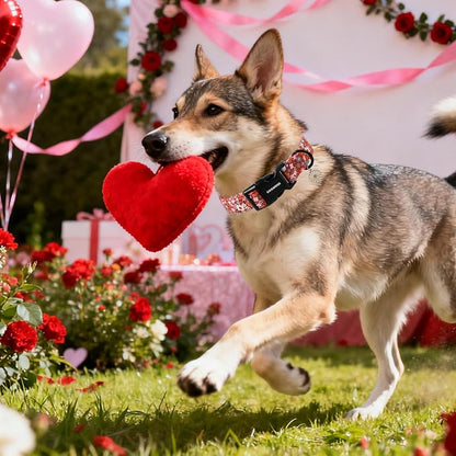 DOGWONG Red Flower Dog Collar, Cute Adjustable Floral Collar, Girl Female Dog - Image 5