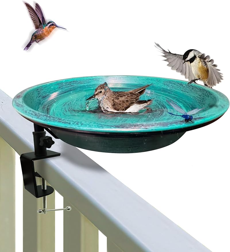 Deck Mounted Bird Bath for Outside, Detachable Birdbath Bowl by TIANCENTRALH