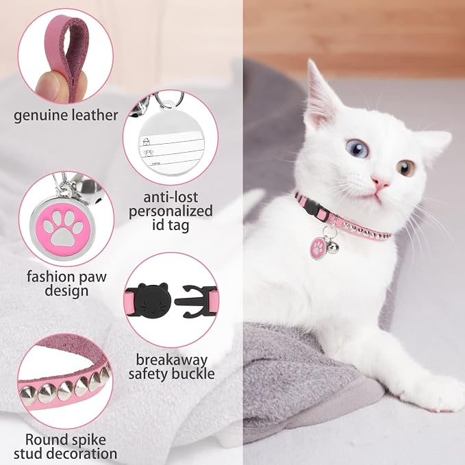 Leather Personalized Breakaway Cat Collar - Image 8
