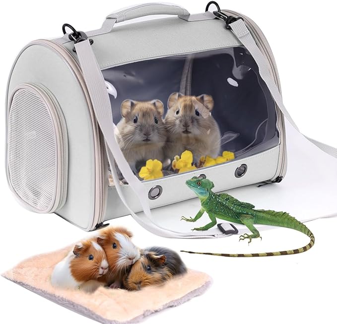 Bearded Dragon Travel Carrier Backpack, Lizard Backpack Carrier, Space Capsule by WEVONIGU