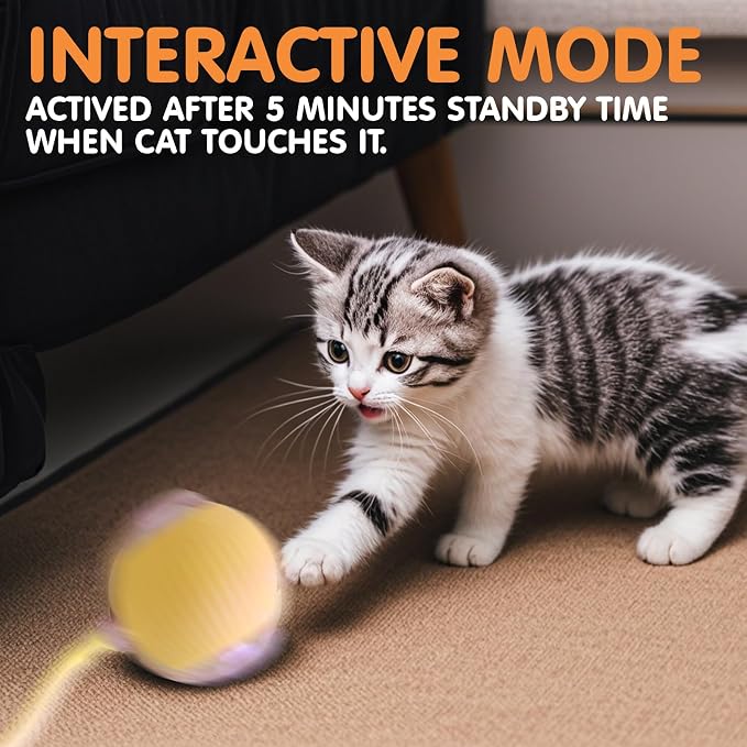 Rocfish Durable Interactive Cat Toys - Image 6
