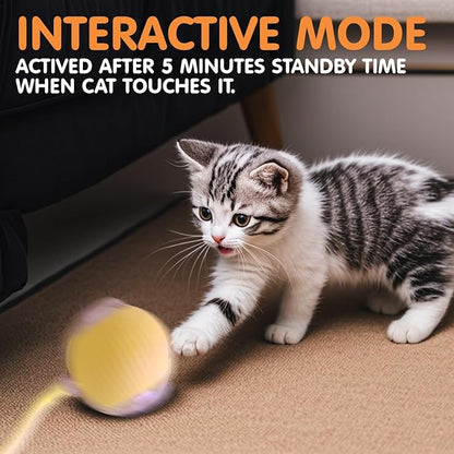 Rocfish Durable Interactive Cat Toys - Image 6
